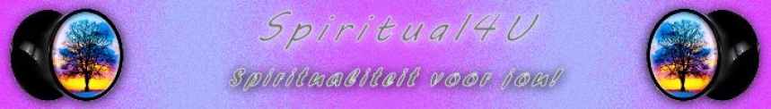 gallery/banner chi